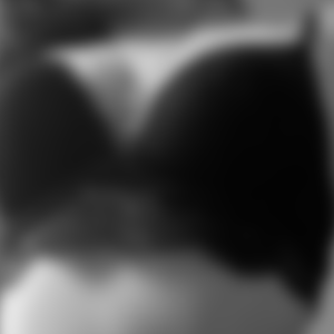 rencontre-Cougar-Rueil-Malmaison