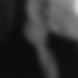 rencontre-Cougar-Arpajon-sur-Cère