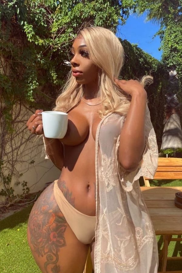 rencontre-ronde-castres-Tgk8